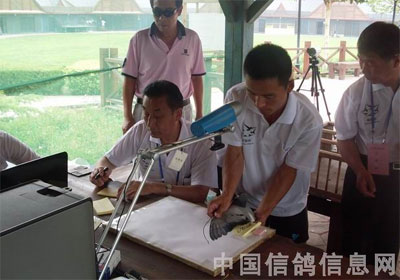 ���˱�������� ����1790��(ͼ)