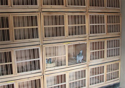 ��̨����ر�����æ(ͼ)