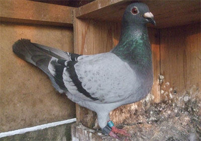 ��ɽ1500���ﳬԶ��ǰ��(ͼ)