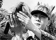 �й�����ָ�ӡ���һ����