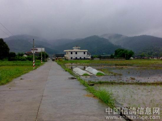 ��ʡ�ݷ�������(ͼ)