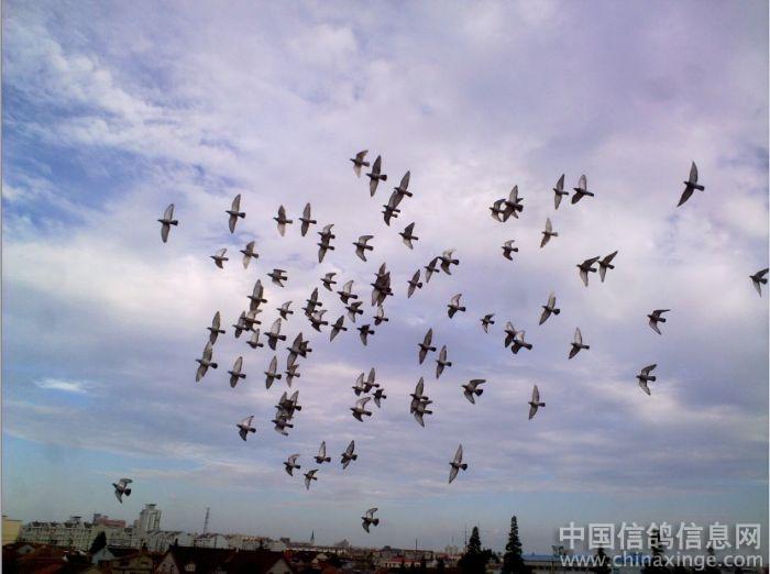 �긴һ�������ϣ��(ͼ)