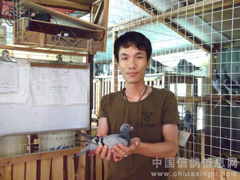 917��500�������������� ���չ�10��(ͼ)