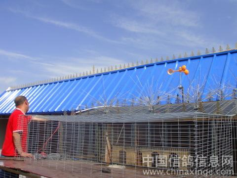 ��¥��ŷʽ������(ͼ)