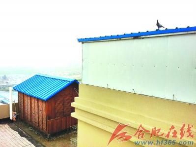 ����¥����������Ͷ��(ͼ)