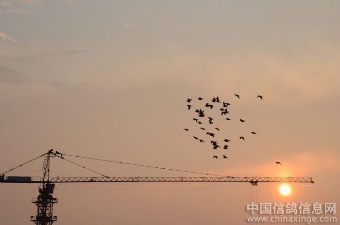 �ҵĸ����ҵĸ�(ͼ)