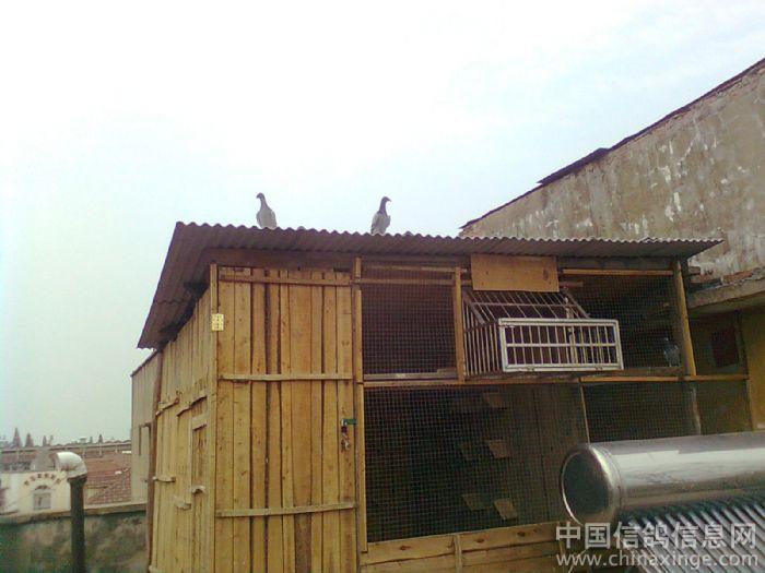 ��������(ͼ)