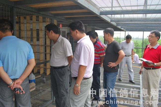 ���˹���35���ո���ǧ����(ͼ)