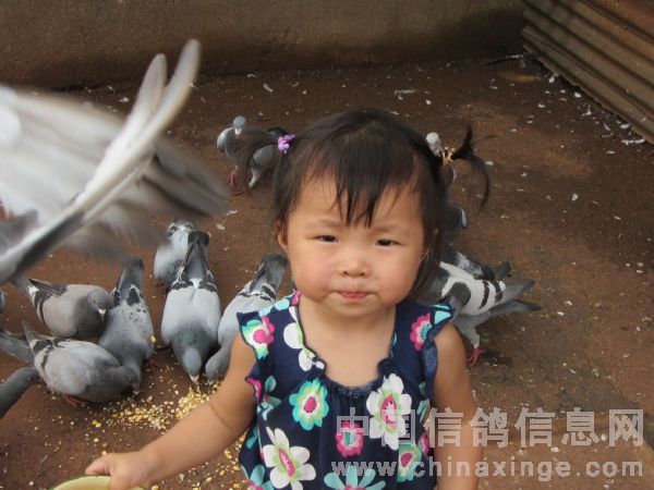 ��Ů����ι��(ͼ)