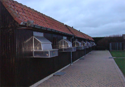 ɹɹŷ�����Һ�������(ͼ)