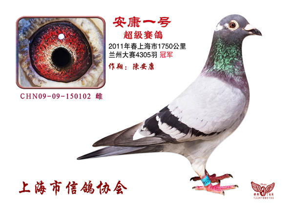 Ϻ17504305Զ̹ھӢ(ͼ)