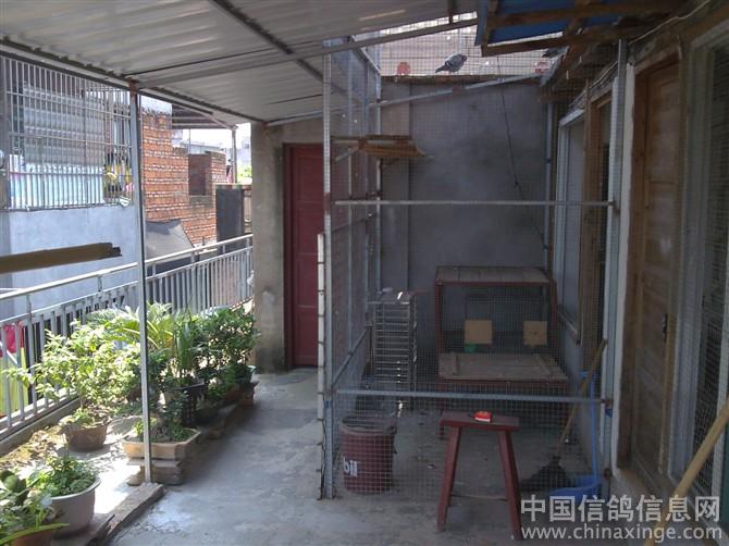 ס���ĸ���(ͼ)