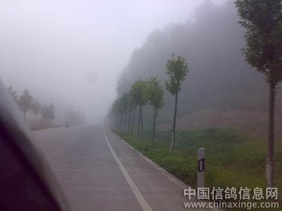 �糿ѵ��Ҳ����(ͼ)