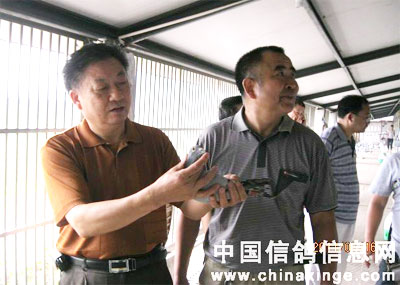 �Ĵ��������ҹ�����������(ͼ)