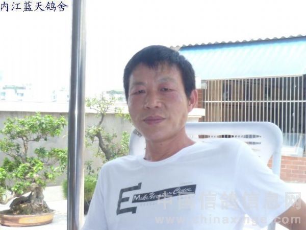 �޵����𡪡����˱���������(ͼ)