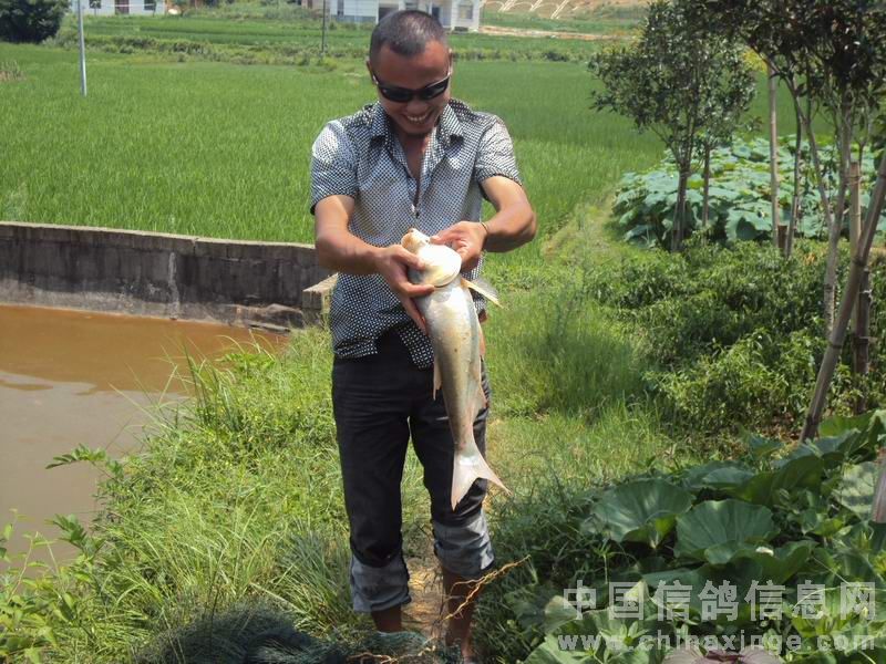 ����ѵ�봹��(ͼ)