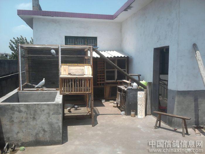 ȫ�ֹ���������(ͼ)