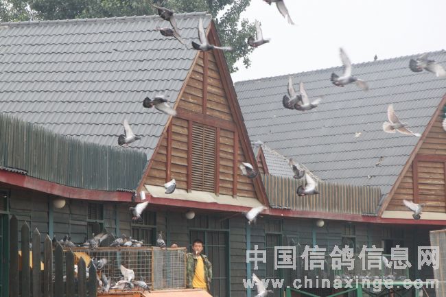 ���˱���������ŶӼҷɣ�ͼ��