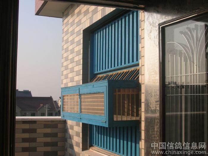 ����ҵĸ���(ͼ)