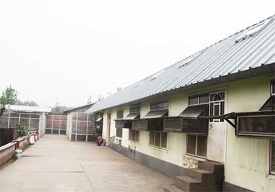 ��԰�еı��������ܸ���(ͼ)