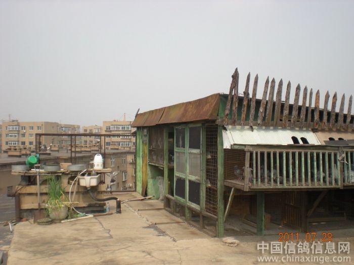 ����12������(ͼ)