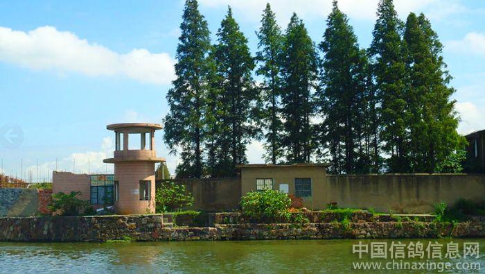 ����������(ͼ)