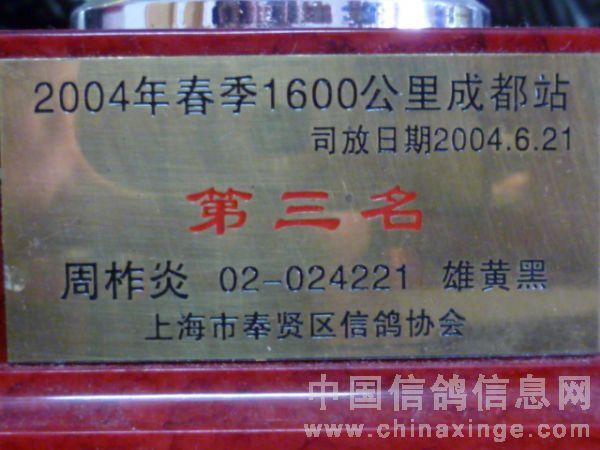 ר���Ϻ��Ͻ�����������(ͼ)