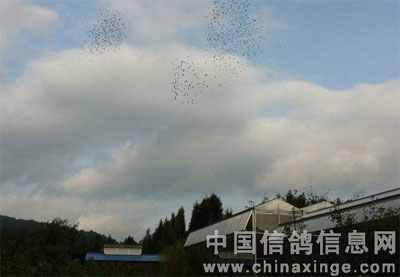 ���ϲ��¹����������4608��