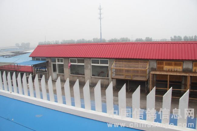 ��������Ժ�����������(ͼ)