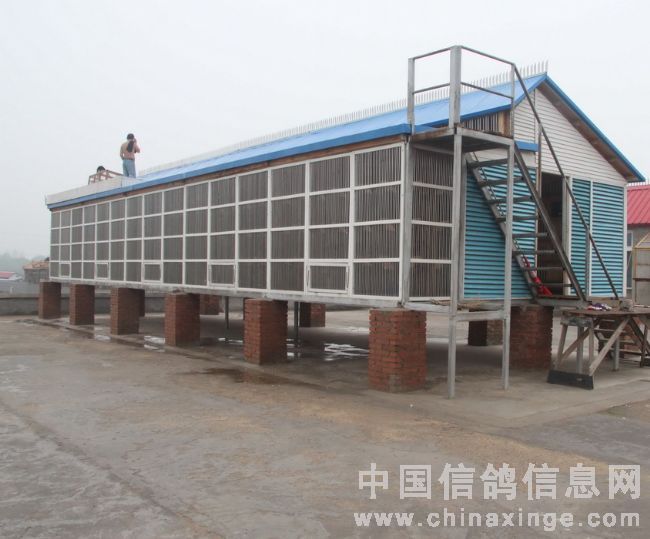 �����������Ÿ���(ͼ)