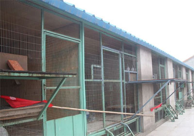 ƽ��СԺ�ı���Ԭ��������(ͼ)