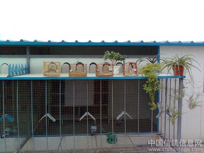 ��Ӱ����Ʒ�������ҵĸ��� �ҵ���(ͼ)