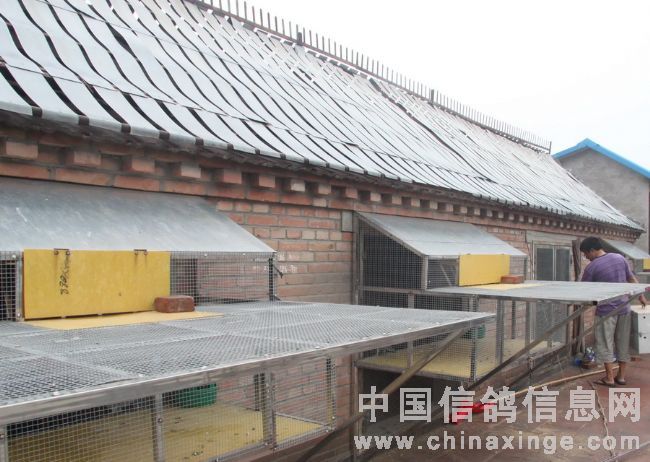 ��פ�������������ø�ҵ(ͼ)