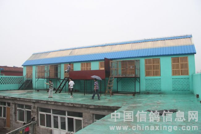 ����Ǿ��ı����ű����(ͼ)