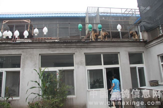 һ�����ݵı����ű�������(ͼ)