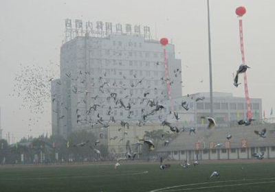 ȫ�����ջ���� ���͸��Ųʸ�(ͼ)