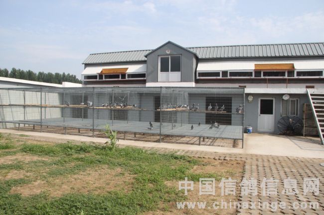 ��Ǩ��ı����Ա��ָ���(ͼ)