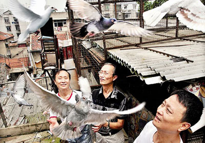 �������Ƭ��֤�������ֵܸ�����Ե(ͼ)