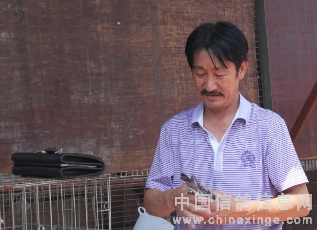 �����½�ɽ������Ը���(ͼ)