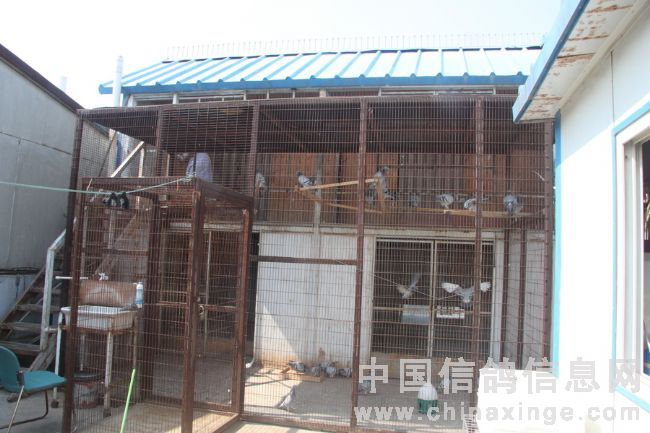 �ø�ʢ���ı������������(ͼ)