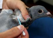 ����������ɰ���ע��(ͼ)