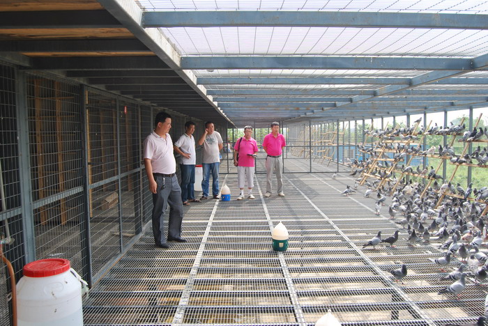 �������ո�1.2�� �и�Эǿ��Ҫ�����(ͼ)