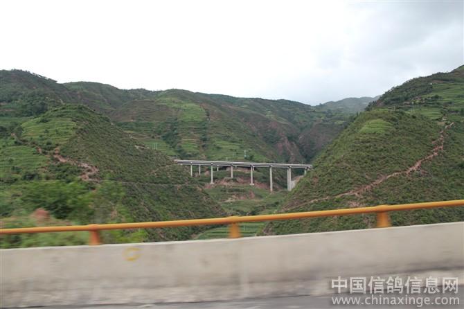 ȥ��֦���۸����(ͼ)