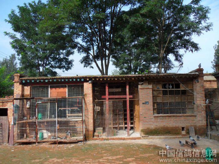 ����������ª��(ͼ)