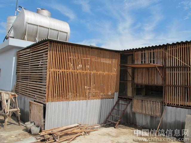 ���������ϸ���(ͼ)