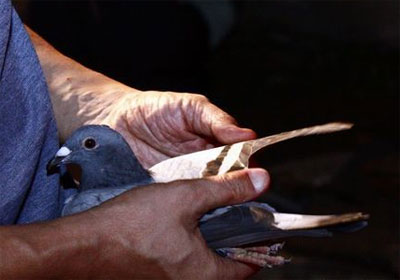 ���������������ͼƬ���嵥