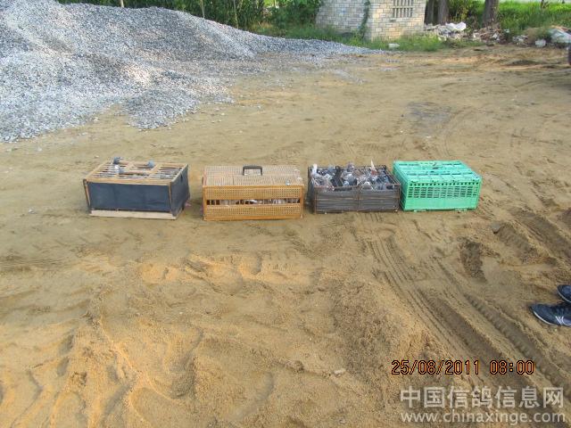 ˽ѵ40����(ͼ)