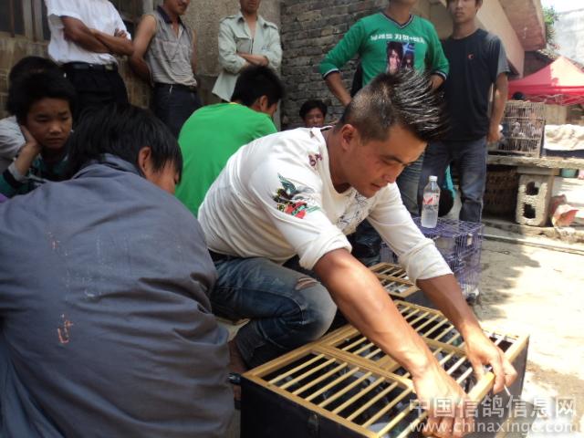 С�����¿���(ͼ)