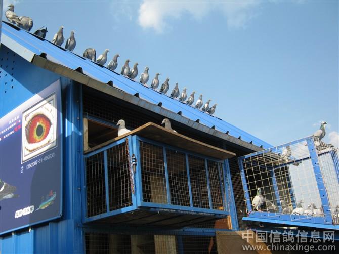 �¾ɸ���Ա�(ͼ)