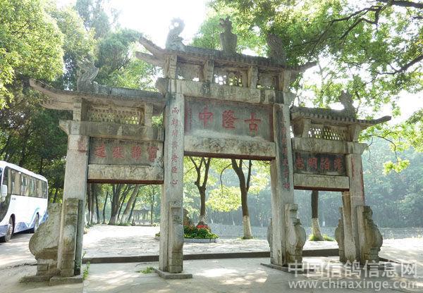 �������ø���(ͼ)